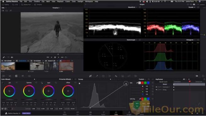 how to use davinci resolve 12.5 for color grading pc