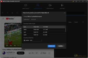 MiniTool Video Converter video downloader